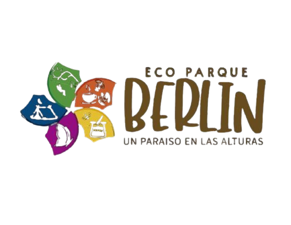 whatsapp image 2026 02 08 at 11.30.29 pm removebg preview